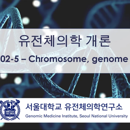 [유전체의학 개론] 02-5 Chromosome, genome