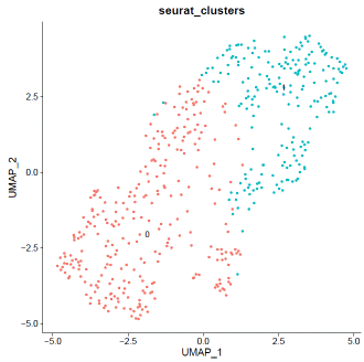 mouse.UMAP.cluster